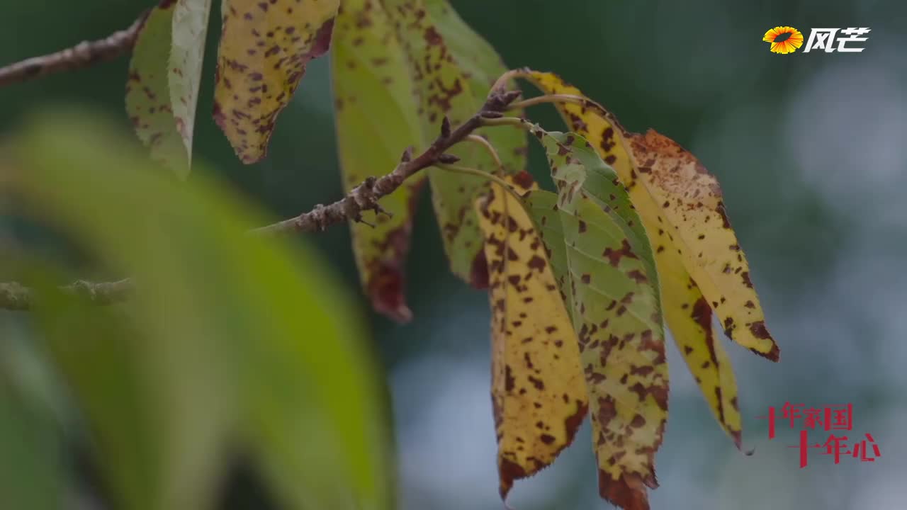 《十年家國(guó)十年心》第七集 他千錘百煉，它千變?nèi)f化