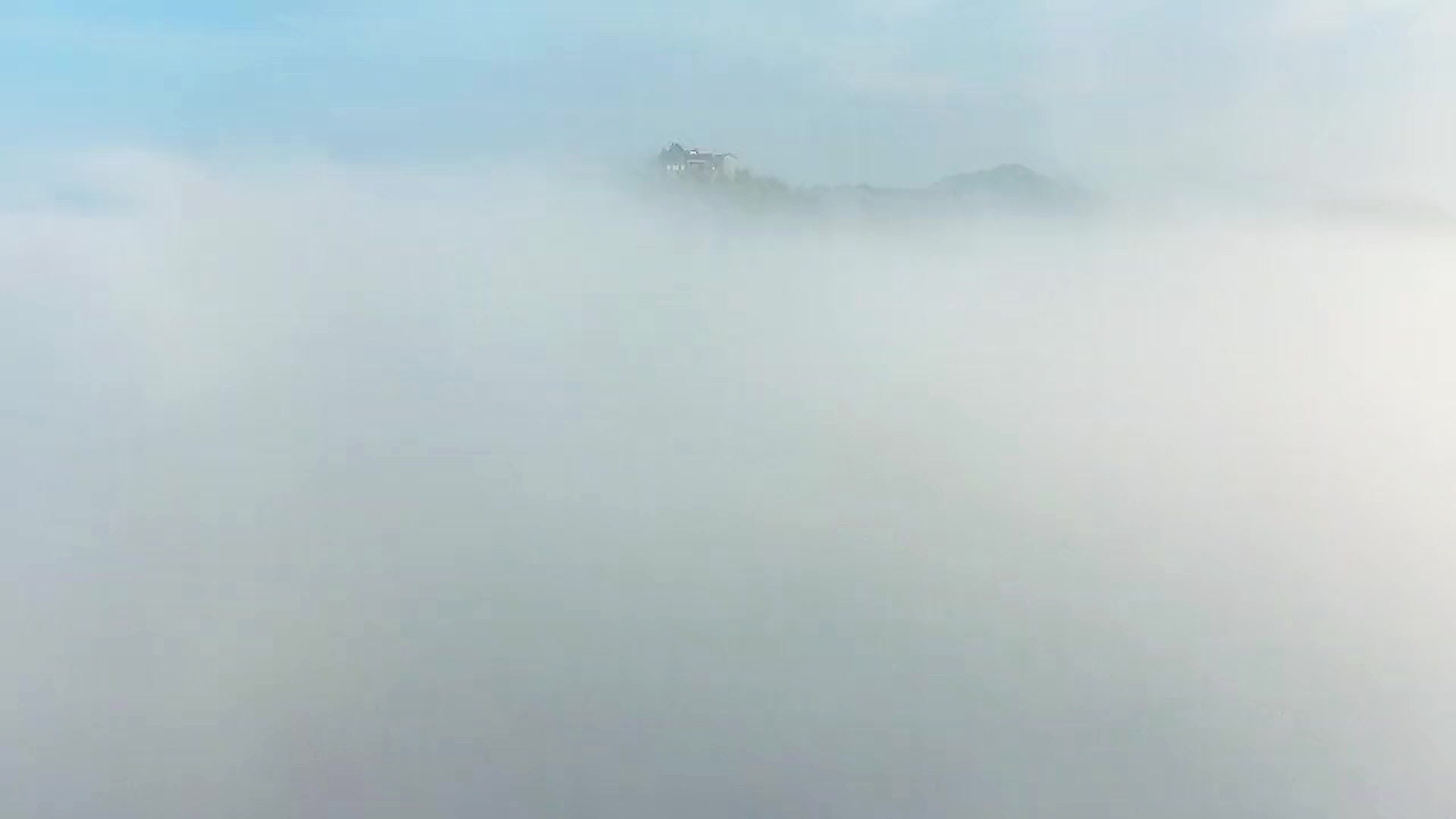 禮贊二十大  奮進(jìn)新征程