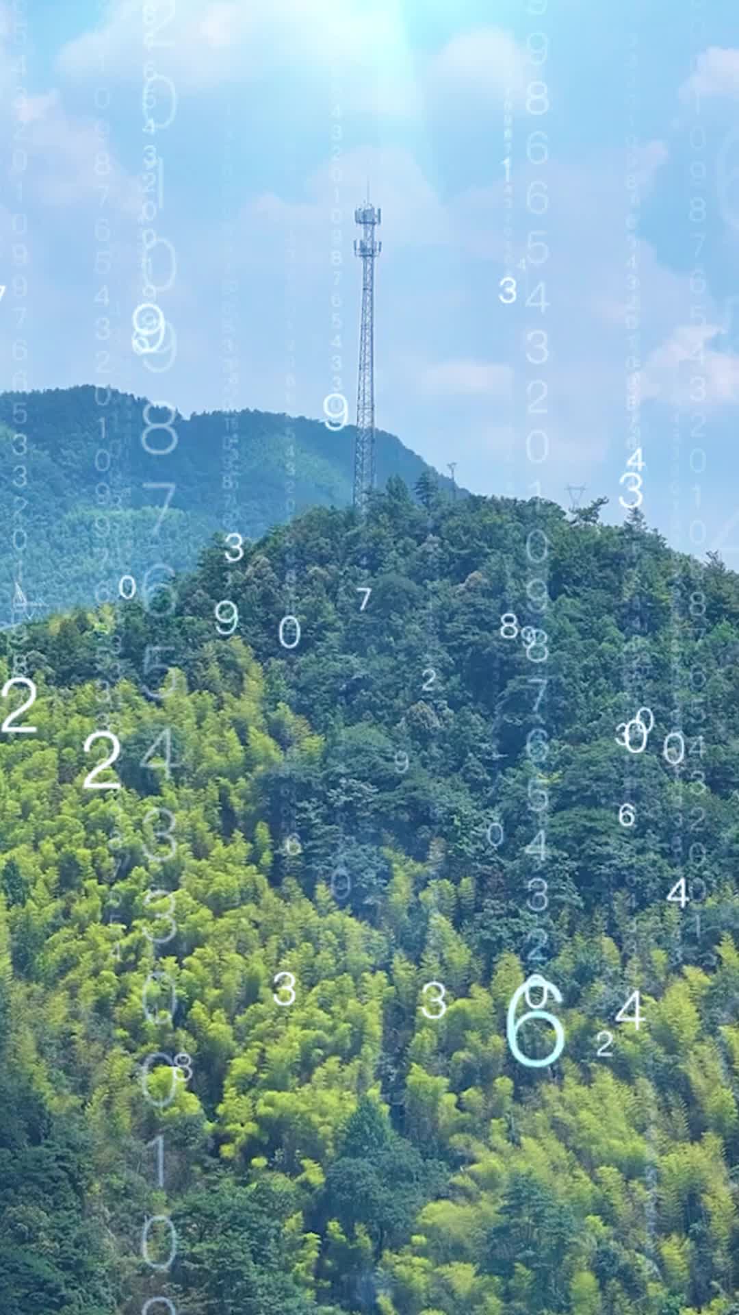 90秒帶你了解森林火情熱點(diǎn)快速核查處置“131”機(jī)制