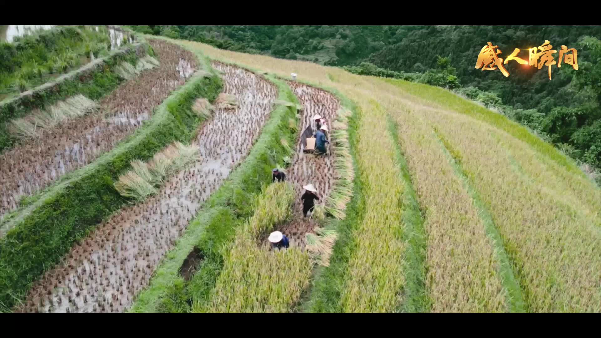 勞動節(jié)“感人瞬間｜微光星海