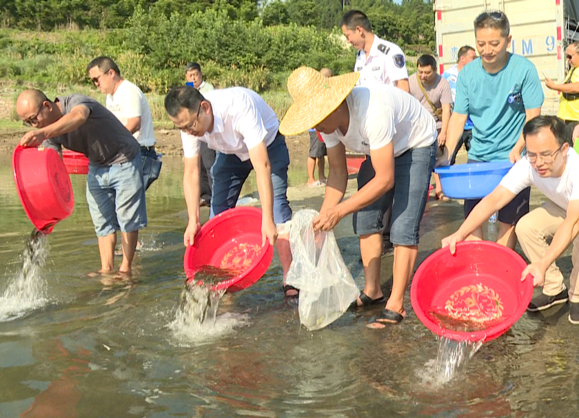 今天，洪江區(qū)300萬尾魚苗投放沅江！