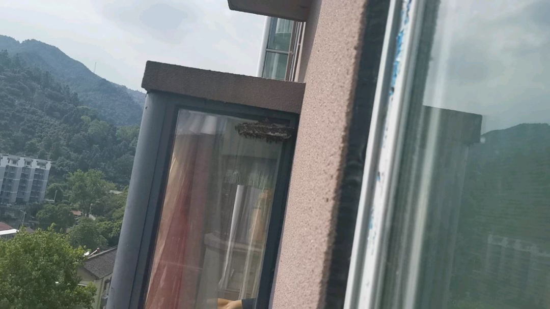 馬蜂窩？拿來吧你！