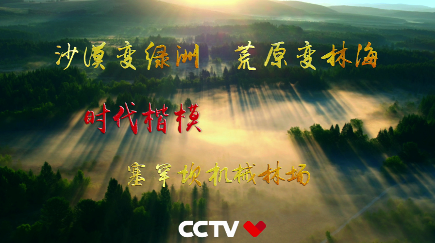 塞罕壩機(jī)械林場(chǎng)