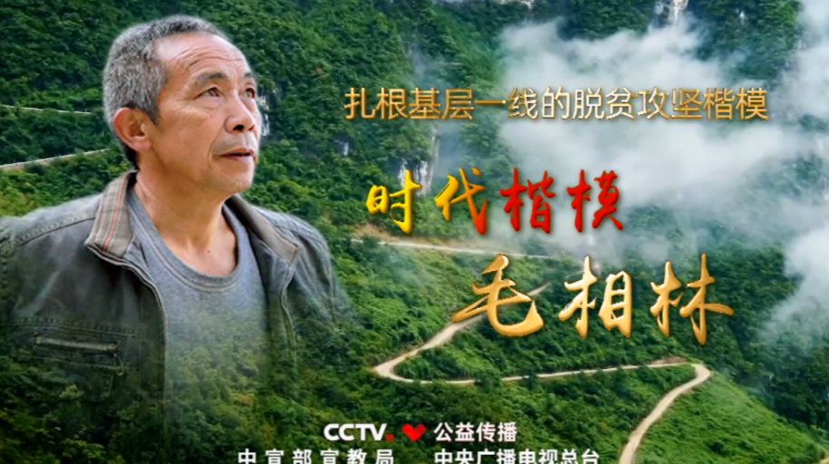 毛相林