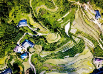 市鄉(xiāng)村振興督查組對我區(qū)鄉(xiāng)村振興工作進行實地督查