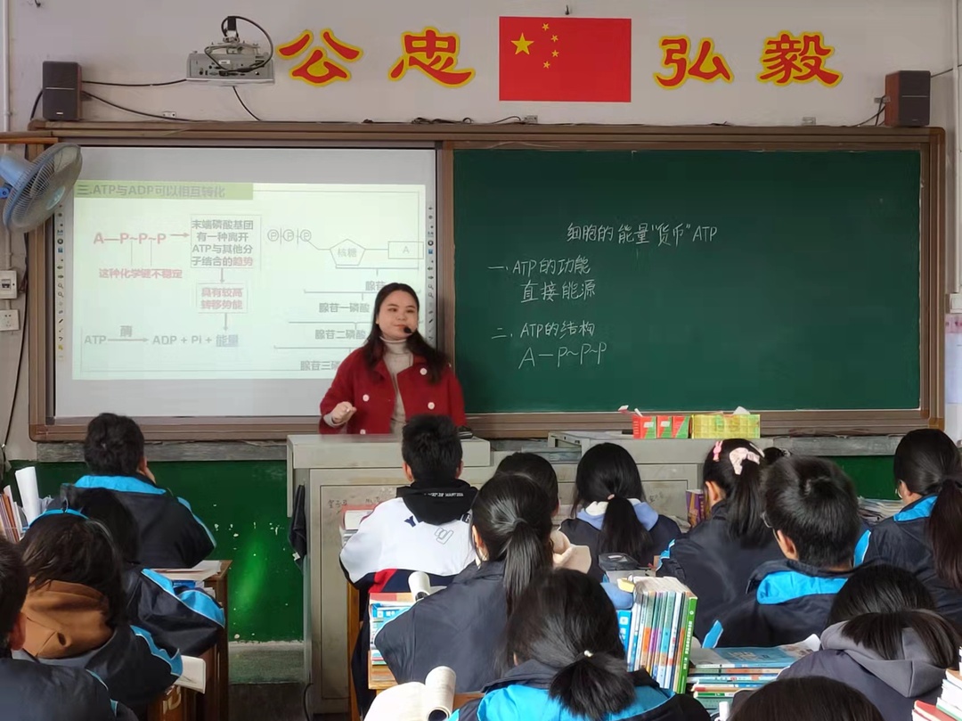 教學比武促成長  新進教師展風采