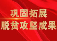 鞏固拓展脫貧攻堅成果