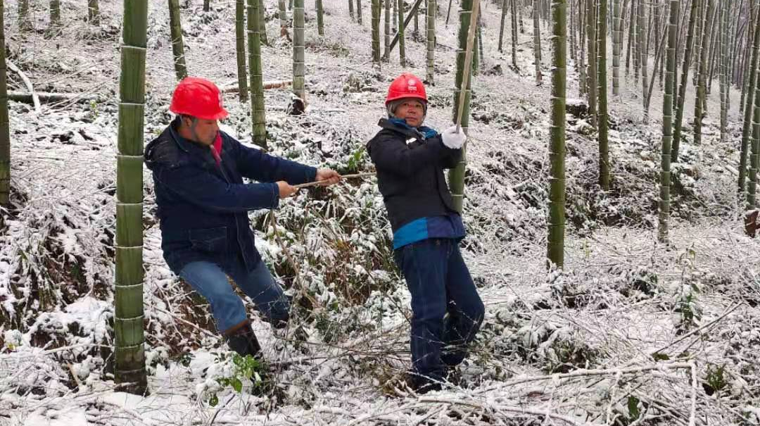抗冰保電，他們奮力前行!