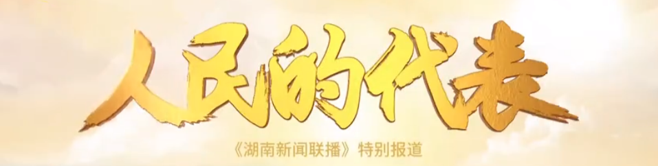 人民的代表