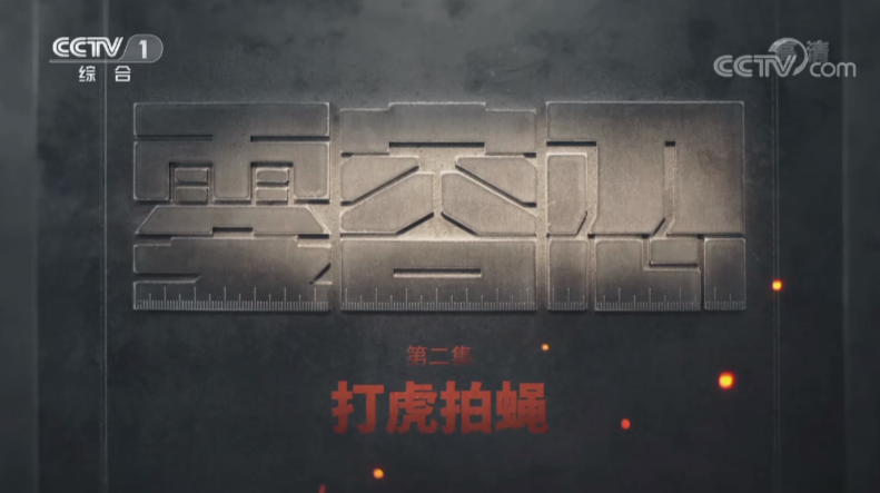 電視專題片《零容忍》第二集《打虎拍蠅》
