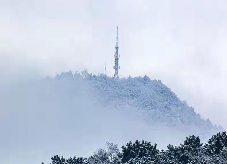 今日除夕！瑞雪來了！