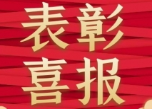洪江區(qū)又雙叒叕被表彰啦！