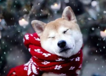 注意了，今晚要下大雪！