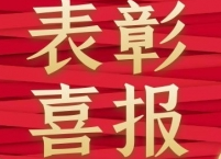 洪江區(qū)這個村獲全省通報表彰！
