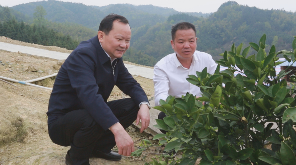 劉曉明調研農業(yè)產業(yè)發(fā)展情況