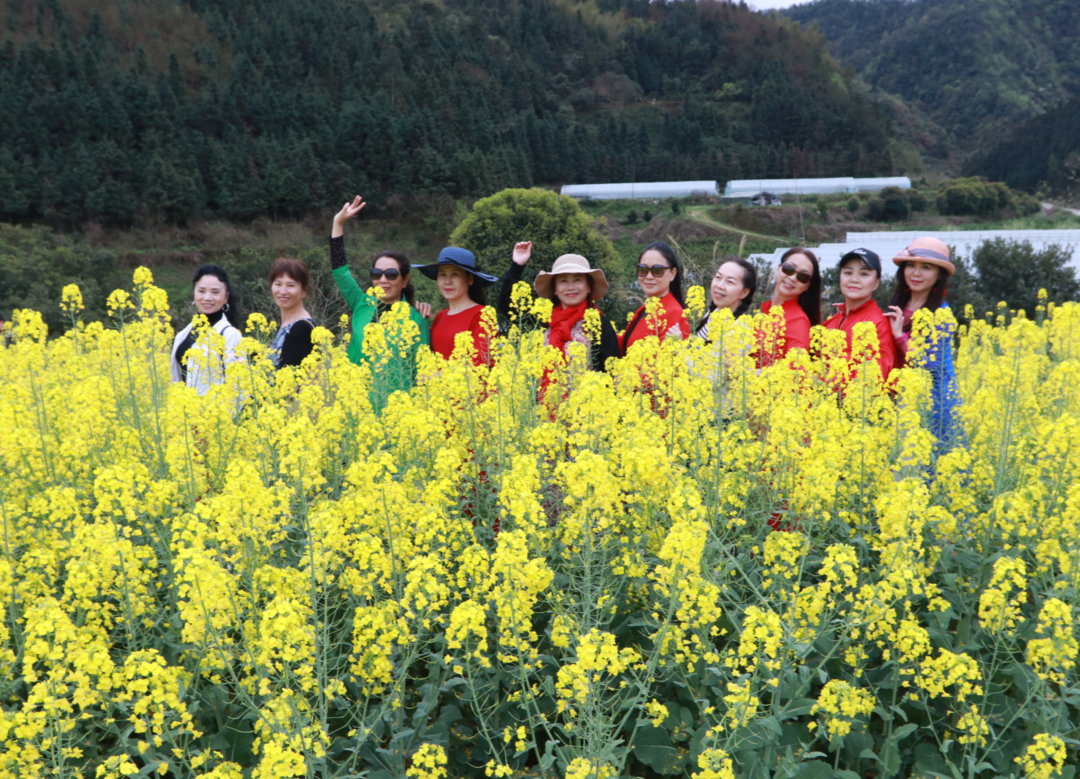 桃花、油菜花盛開，醉游人！