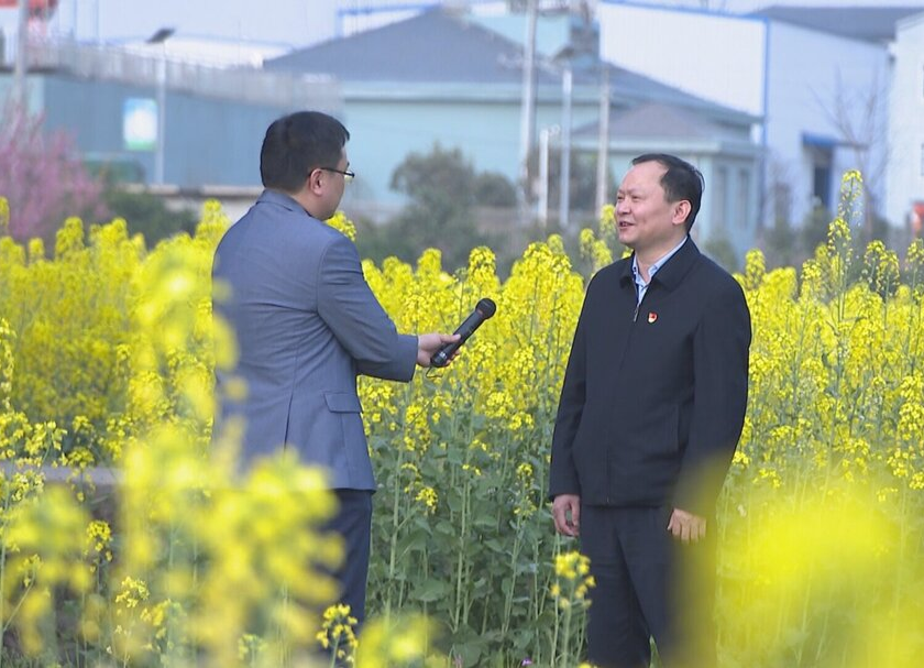 洪江區(qū)：全力以赴打好春耕備耕這場“硬仗”