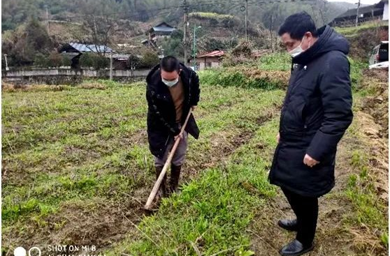 黨員先鋒挺在前 抓搶農(nóng)時不負春