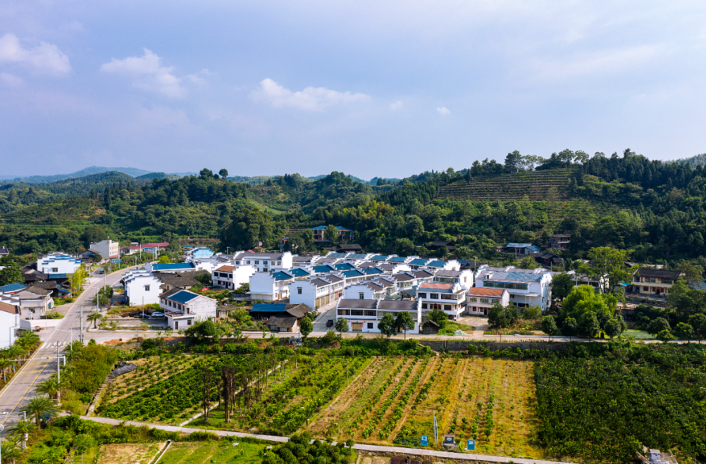 不當(dāng)旁觀漢 爭(zhēng)做建設(shè)者 洪江區(qū)“村民自治”治出鄉(xiāng)村建設(shè)新風(fēng)貌