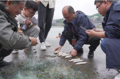 保護(hù)生物多樣性，水生生物監(jiān)測在行動