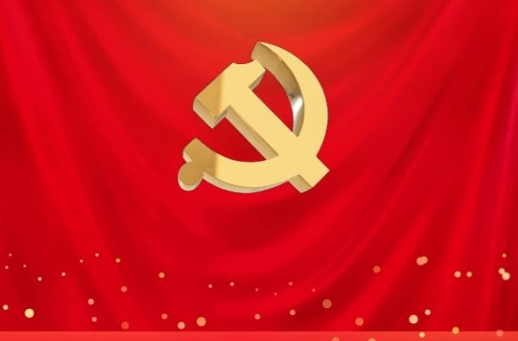 黨旗，高揚(yáng)在抗洪搶險(xiǎn)救援一線