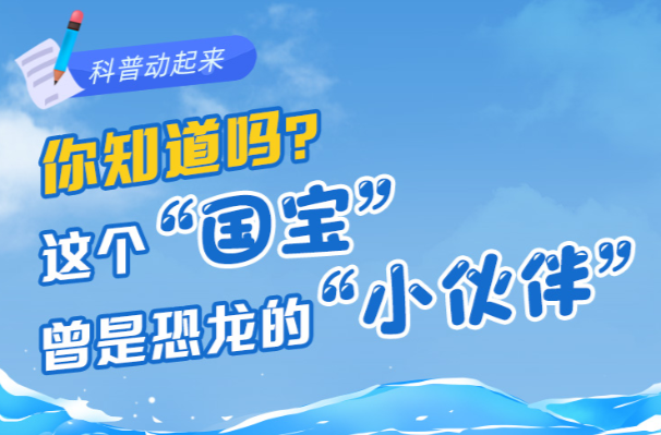【科普動起來】圖解｜你知道嗎？這個“國寶”曾是恐龍的“小伙伴”