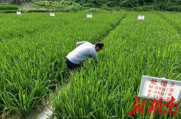 給力！農(nóng)業(yè)科技助農(nóng)戶增收