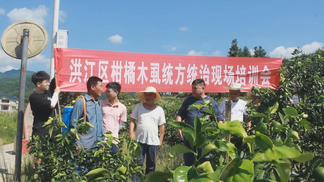 洪江區(qū)：植保無人機(jī)助力柑橘黃龍病防控工作