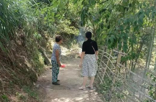 防火于未“燃” 護林防火在行動