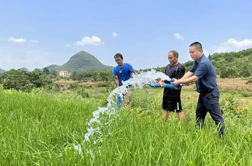 人民日報看湖南|促秋糧豐收，為群眾解憂