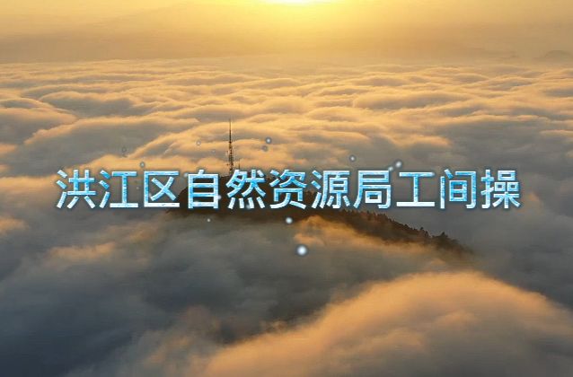 區(qū)自然資源局