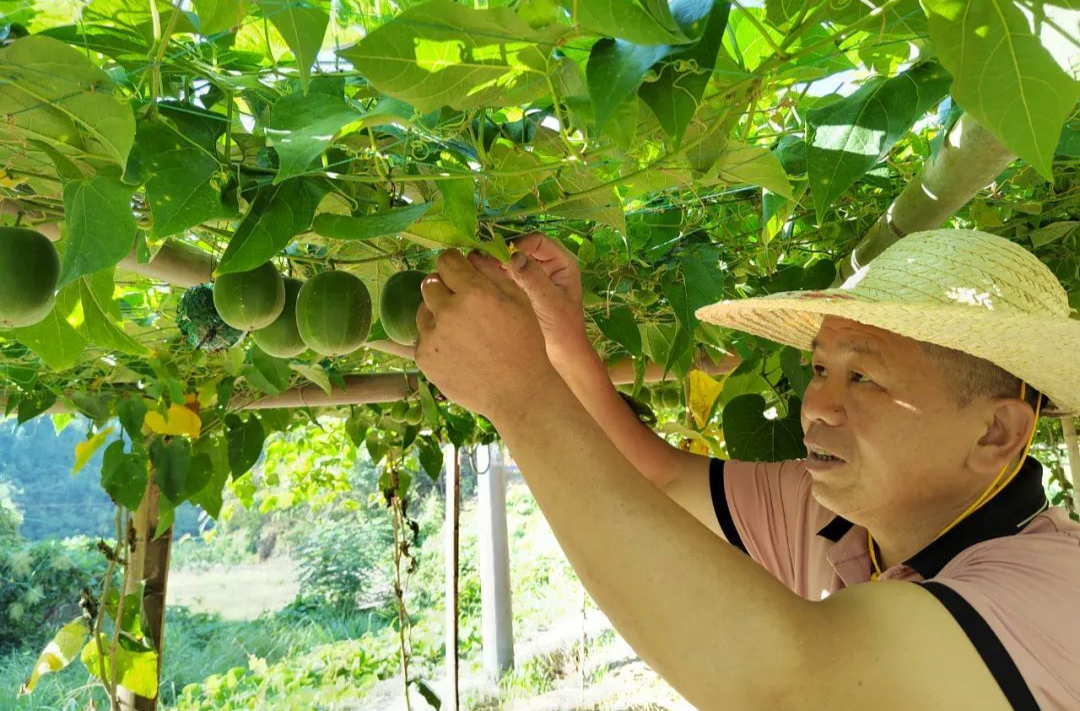 內(nèi)外兼修，繪就鄉(xiāng)村新畫卷