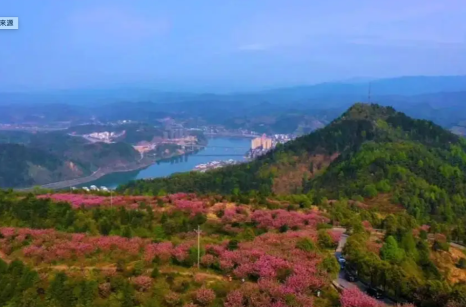 領(lǐng)悟思想偉力 永擎時代重任 奮力開創(chuàng)洪江高質(zhì)量發(fā)展新局面