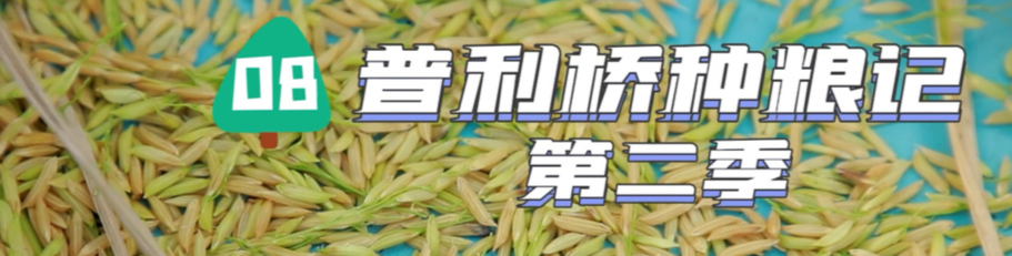 普利橋種糧記