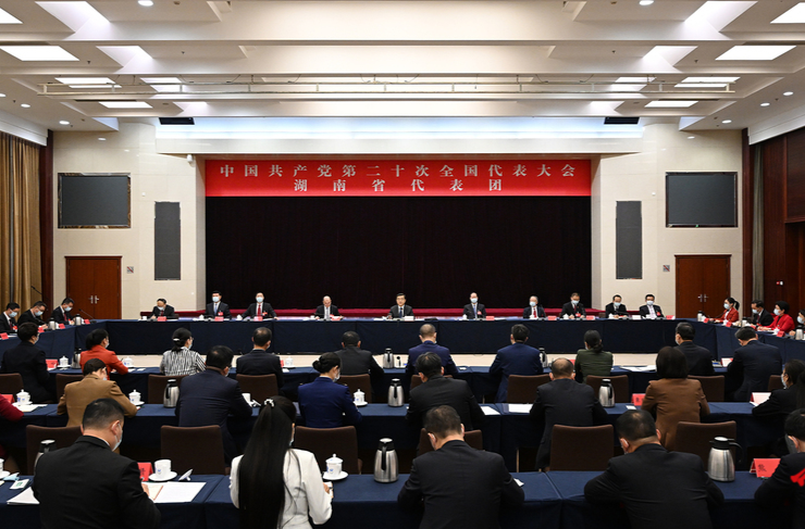 湖南代表團(tuán)舉行全體會(huì)議 張慶偉主持并講話