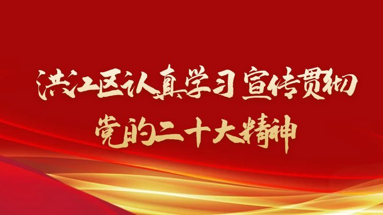 洪江區(qū)認(rèn)真學(xué)習(xí)宣傳貫徹黨的二十大精神