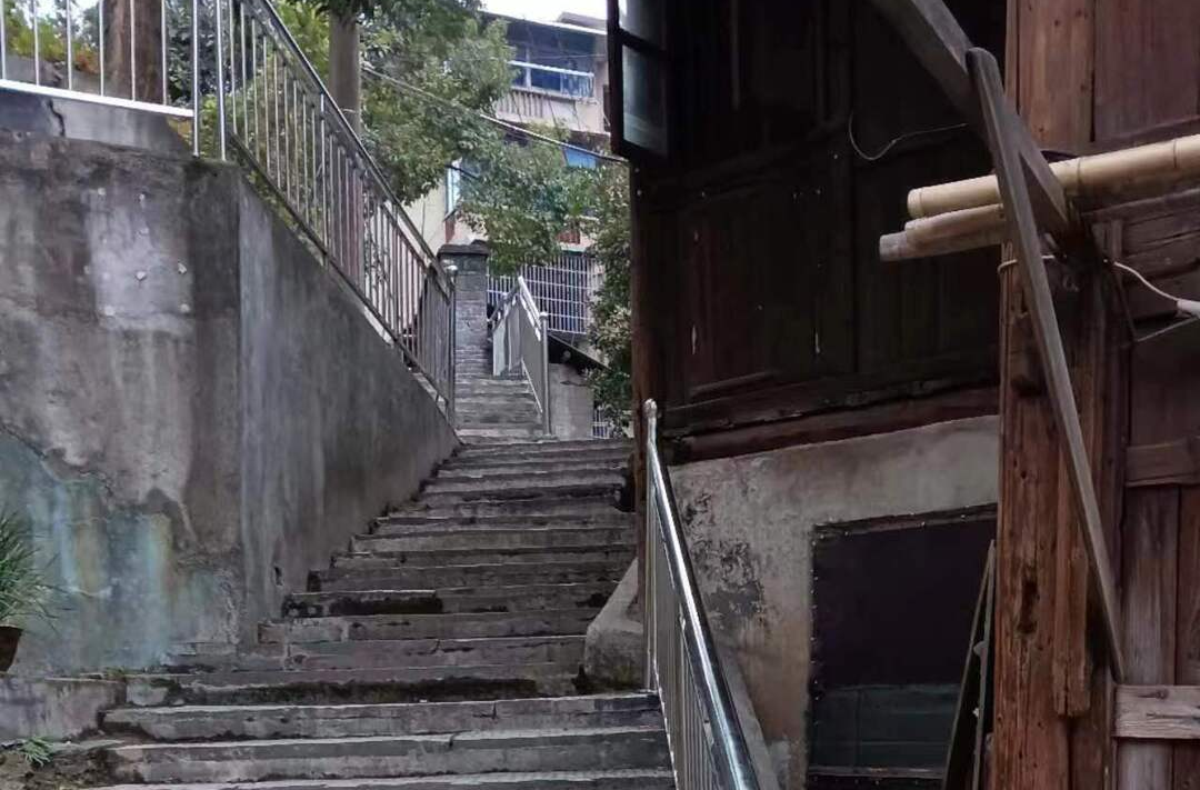 一排嶄新的安全護(hù)欄“閃亮登場”