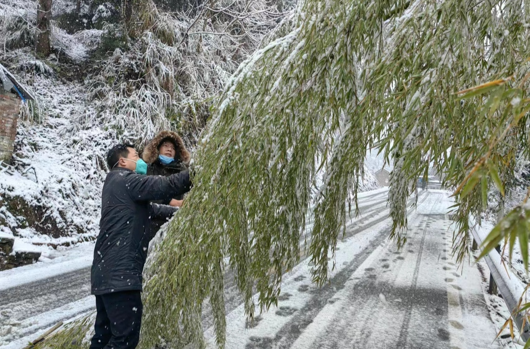 下雪天，我們一起行動(dòng)起來！