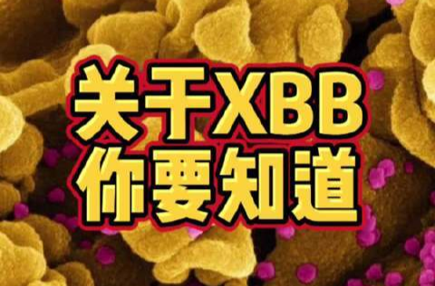 科普動起來丨感染XBB.1.5會大小便失禁？短期內(nèi)會引發(fā)大規(guī)模流行嗎？