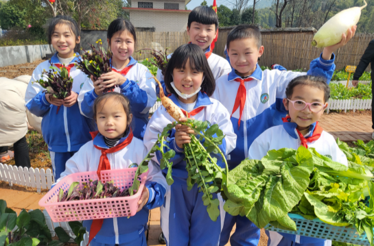 校園蔬菜大豐收，童心滿載勞動美