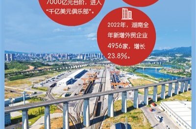 湖南開放型經(jīng)濟(jì)邁上新臺(tái)階（新氣象 新作為）