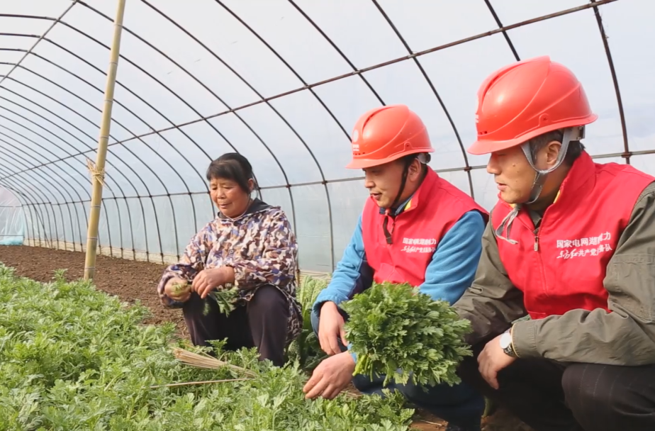 助力春耕備耕 服務(wù)送到田間地頭