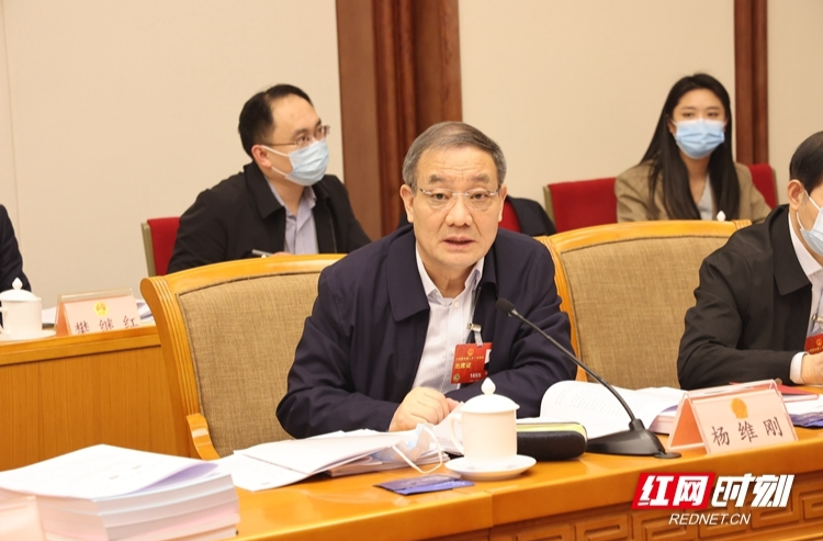 兩會(huì)湘聲︱楊維剛：大力弘揚(yáng)左宗棠愛(ài)國(guó)主義精神和民族精神