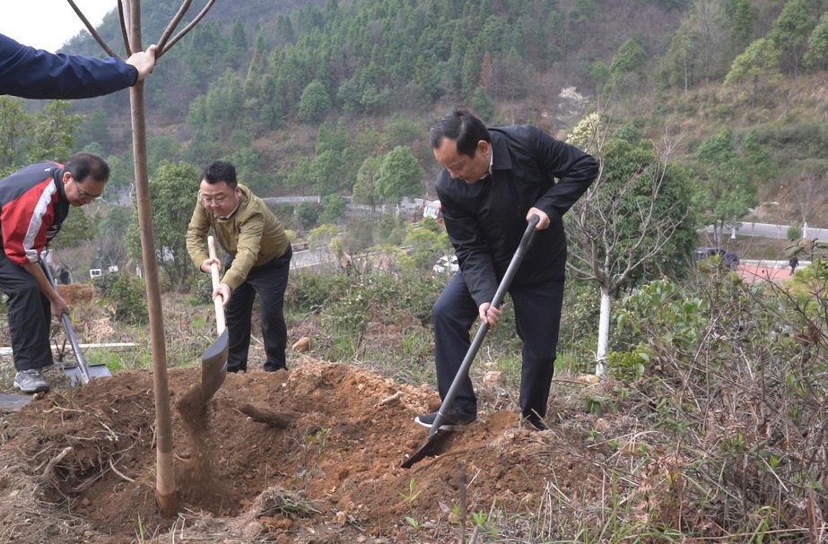植樹(shù)添綠正當(dāng)時(shí)，區(qū)領(lǐng)導(dǎo)參加義務(wù)植樹(shù)活動(dòng)