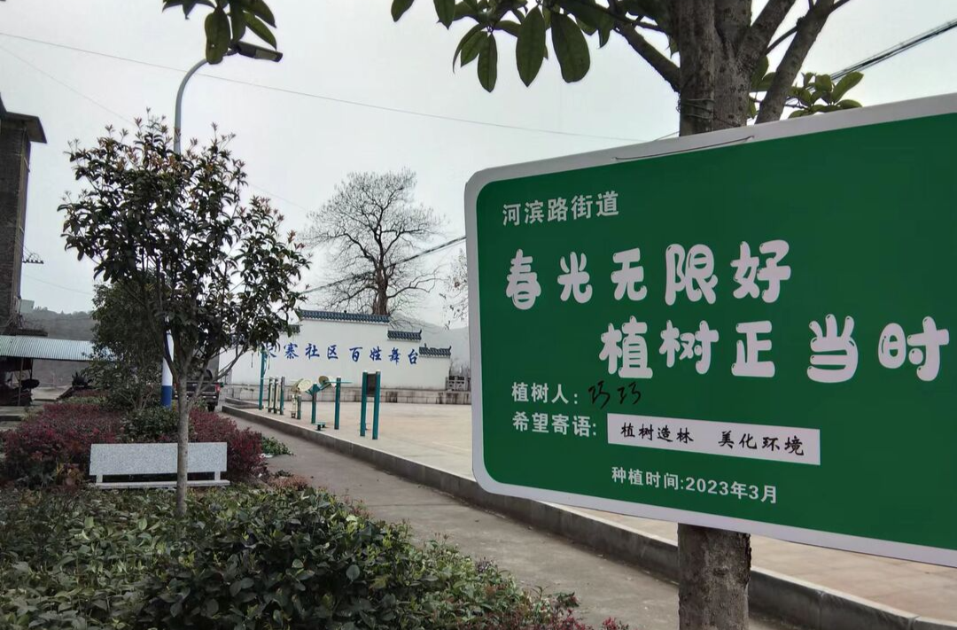 “植”此青綠，不負春光