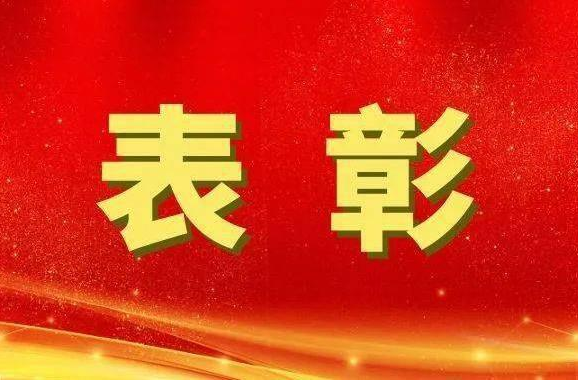 優(yōu)秀！洪江區(qū)一批農(nóng)村人居環(huán)境整治提升工作先進典型榮獲市級表彰