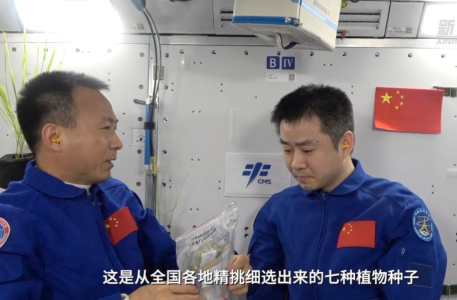 雜交稻種太空行