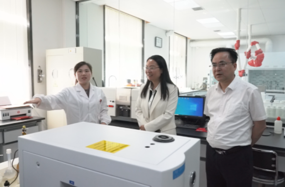 楊健桃調(diào)研高新區(qū)工業(yè)企業(yè)工作
