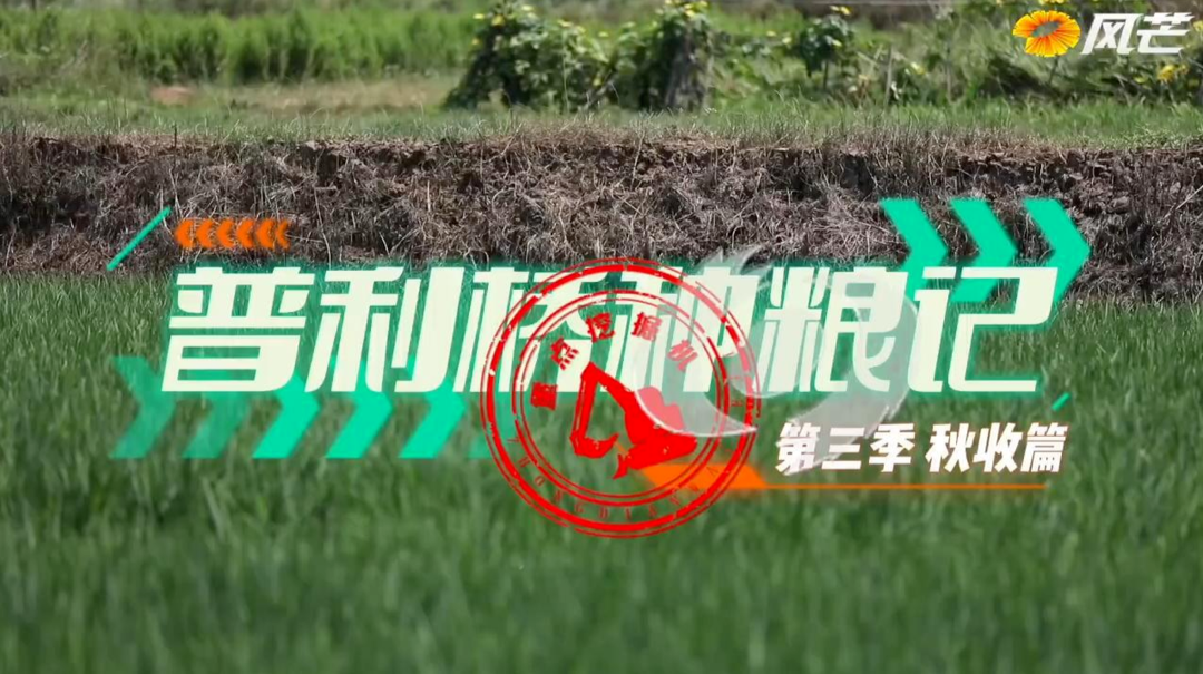 普利桥种粮记