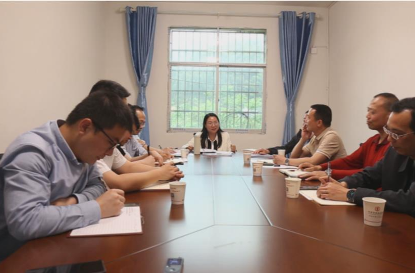 楊健桃深入聯(lián)系點調(diào)研指導社區(qū)基層治理和美麗鄉(xiāng)村建設工作